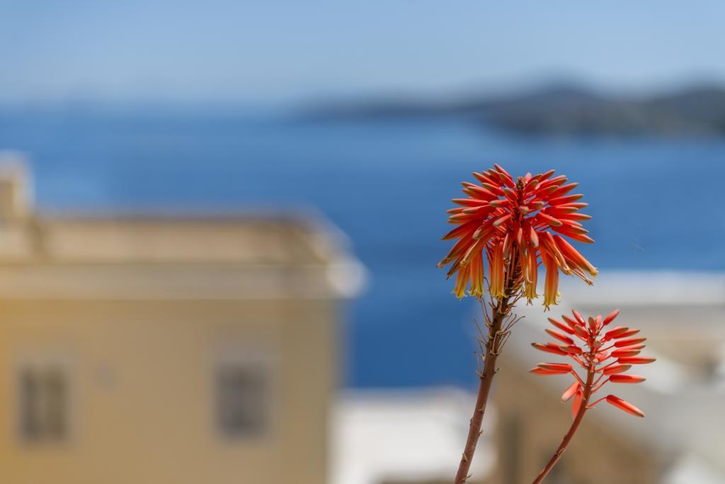 Holiday home Veranda Syros House Ermoupoli